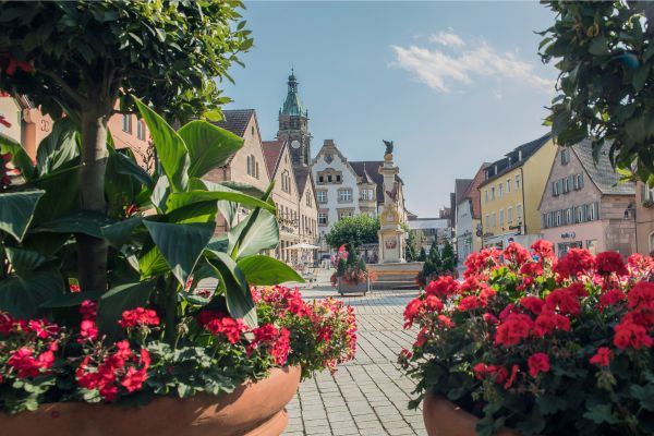 Bild 1 von Bar im Löwenkeller